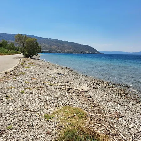 Athina-georgia
